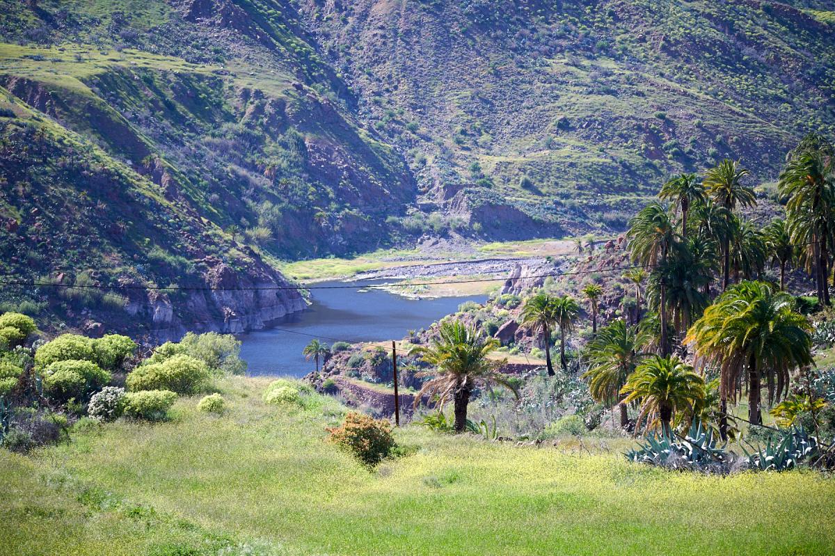 Gran Canaria nature