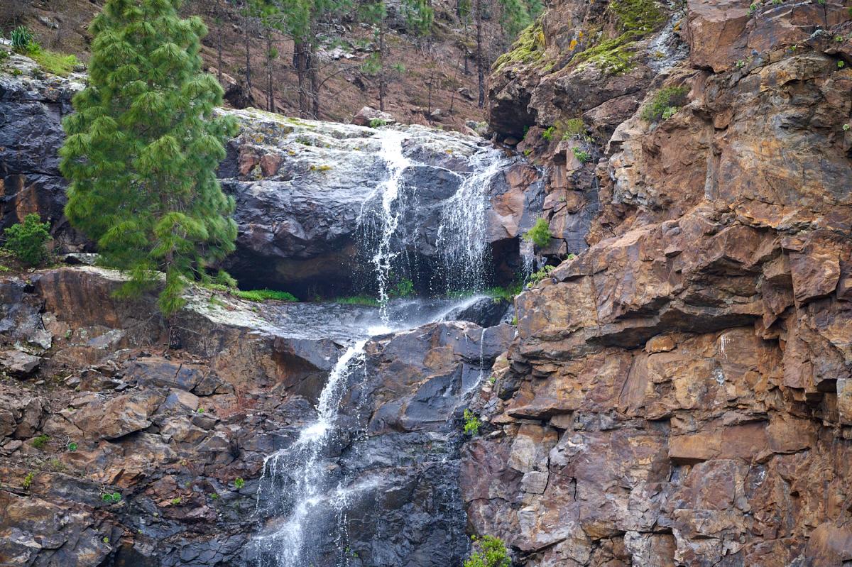 Gran Canaria nature