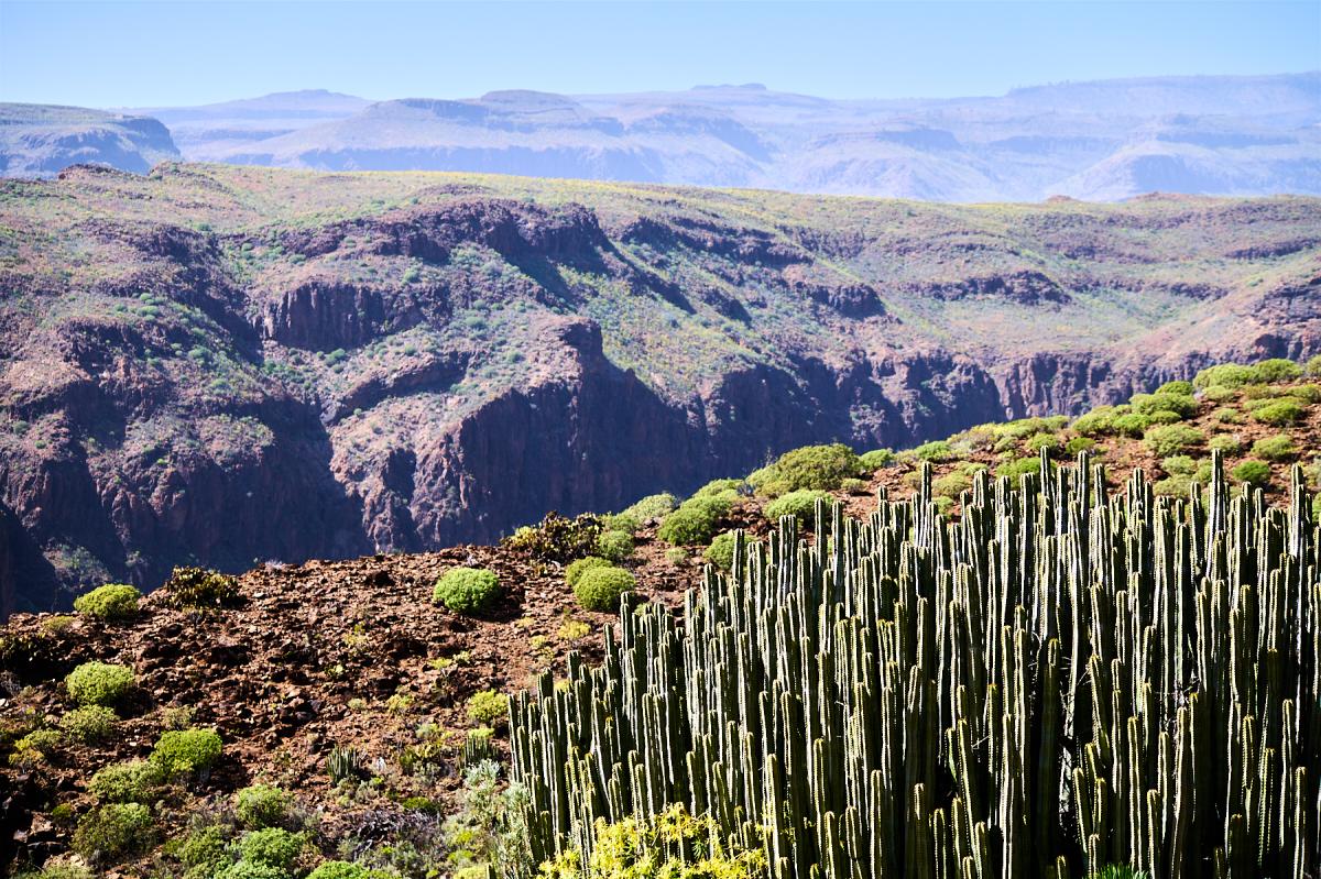 Gran Canaria nature