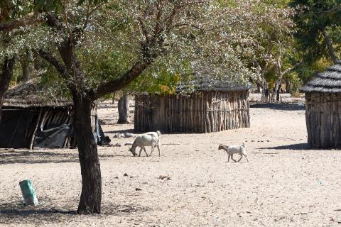 Village in Caprivi Strip