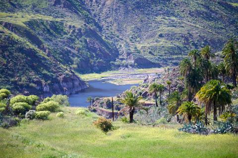 Gran Canaria nature